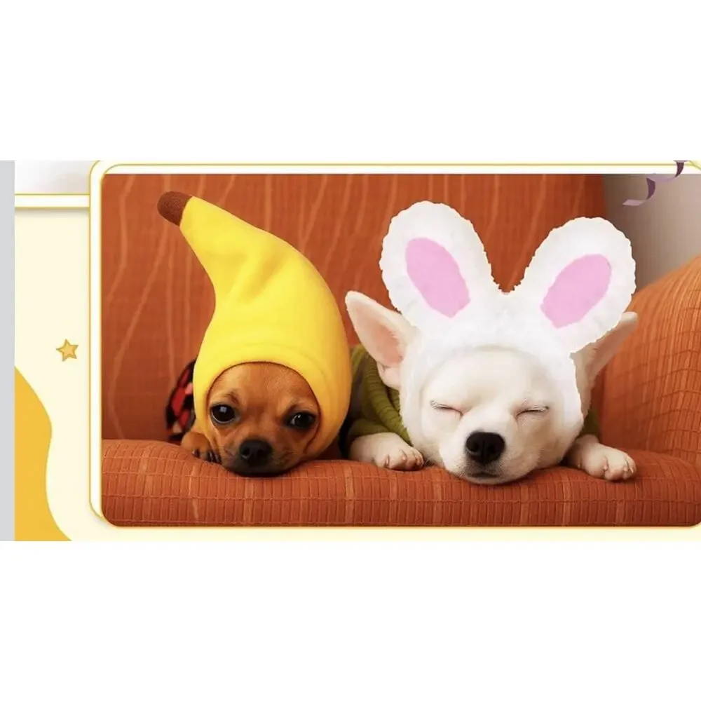 Geyoga 5 Pcs Pet - Dog - Cat Hat Costumes Fruits / Bunny New